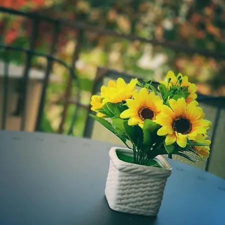 Apartment Da Patrizia E Valerio Palermo