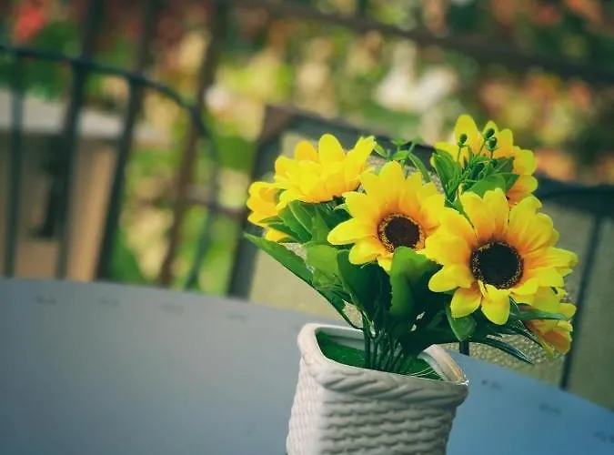 Daire Da Patrizia E Valerio Palermo